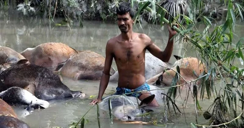 ভয়াল ২৯ এপ্রিল আজ, এখনো অরক্ষিত আনোয়ারার উপকূলীয় জনপদ!