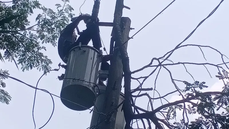 আনোয়ারায় কালবৈশাখীর তাণ্ডবে লণ্ডভণ্ড বিদ্যুৎ লাইন, পুরো উপজেলা অন্ধকার